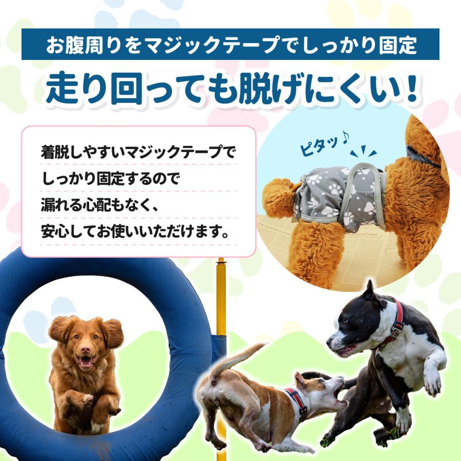 <a href="https://www.qoo10.jp/gmkt.inc/Search/brand.aspx?brandno=124379" target="_blank" class="title_brand" id="btn_brand" title="マナーウェア">マナーウェア</a>介護服 メス 生理パンツ 犬用 オス 犬 サニタリーパンツ ダックス ずれない マナーパンツ マナーウェア 大型犬 チワワ オムツカバー マナーベルト