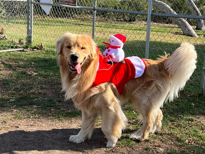 ペット犬クリスマス衣装サンタ乗馬スーツクリスマスペット服鹿乗馬スーツペットクリスマス用品