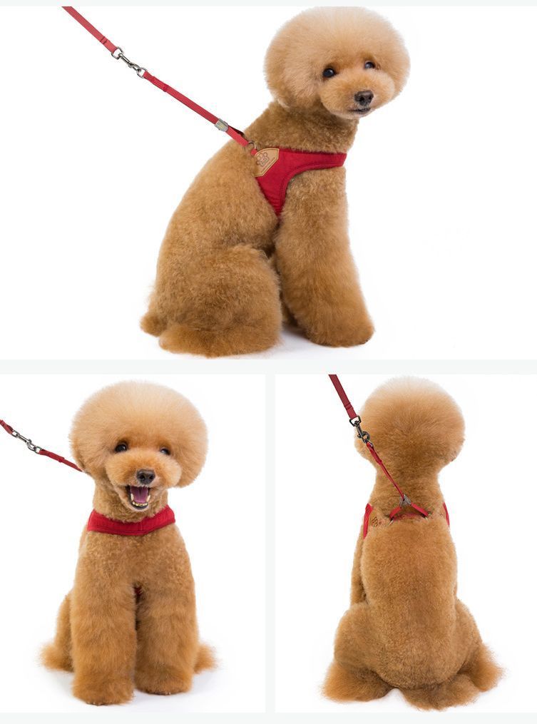 ハーネスリード ペット用品 犬 小型犬 2点セット お散歩 お出かけ アウトドア カジ