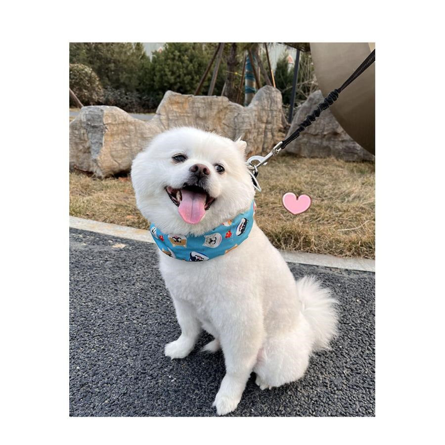 メガ割り 犬 クールネック ネッククーラー 保冷剤付き チャック付 熱中症対策 犬用 暑さ対策 ひんやり ペット 猫 小型犬 中型犬 ドッグ