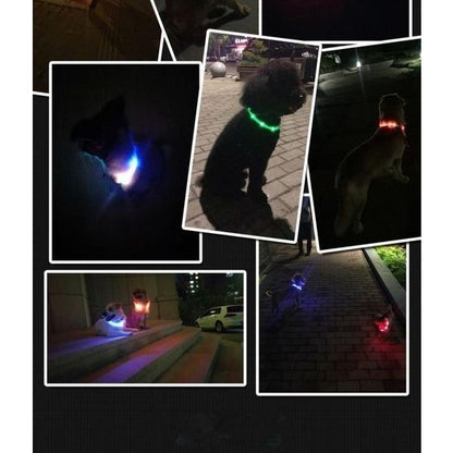 小型犬 プレゼントラッピング無料 犬 中型犬 シリコン 大型犬 防水 猫 LED 夜の散歩 首輪 取り外し可能 光る