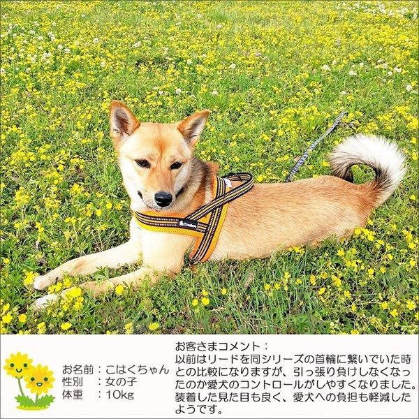 犬 ハーネス 犬用 ハーネス Truelove ブランド 胴輪 ソフトパッド 簡単装着 快適 スポーツハーネス 超大型犬 大型犬 小型犬