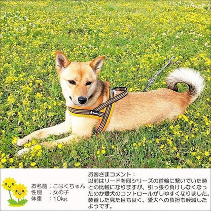犬 ハーネス 犬用 ハーネス Truelove ブランド 胴輪 ソフトパッド 簡単装着 快適 スポーツハーネス 超大型犬 大型犬 小型犬