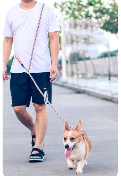 犬 リード 2.6m ショルダーリード 肩掛けリード 2頭引き リード ロングリード 反射機能 小型犬 中型犬 散歩 コンパクト 長い 多頭飼い