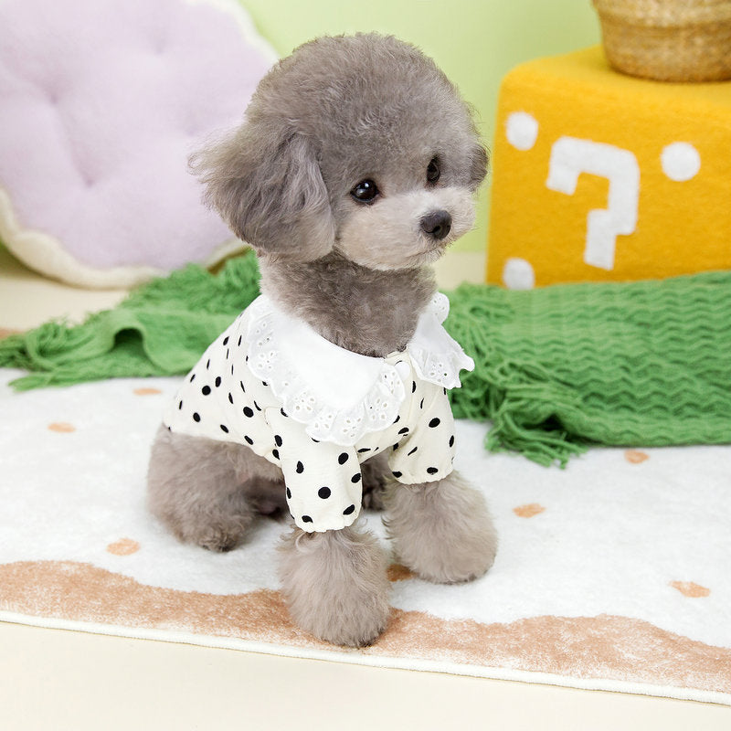 [犬 服]犬 洋服 ins人気商品 新作犬服春夏薄手Tシャツ小型犬ペットTシャツ二本足服