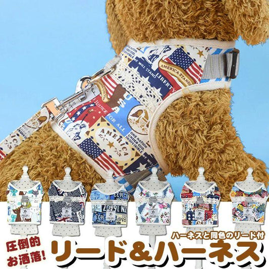 新商品プロモーション，数量限定 犬 猫 ハーネス リード ペット デザイン 服 ウェアハーネス 胴輪 キャット ドッグ犬 猫