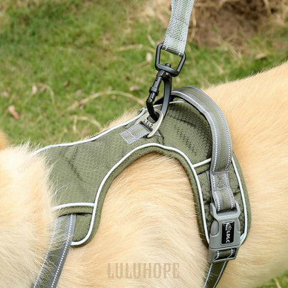 大型犬 伸縮リード 犬用 おしゃれ 散歩リード 持ちやすい 大型犬 弾力設計 リード 中型犬 中型犬 ソフトハンドル 車載用 反射機能 ドッグ訓練リード