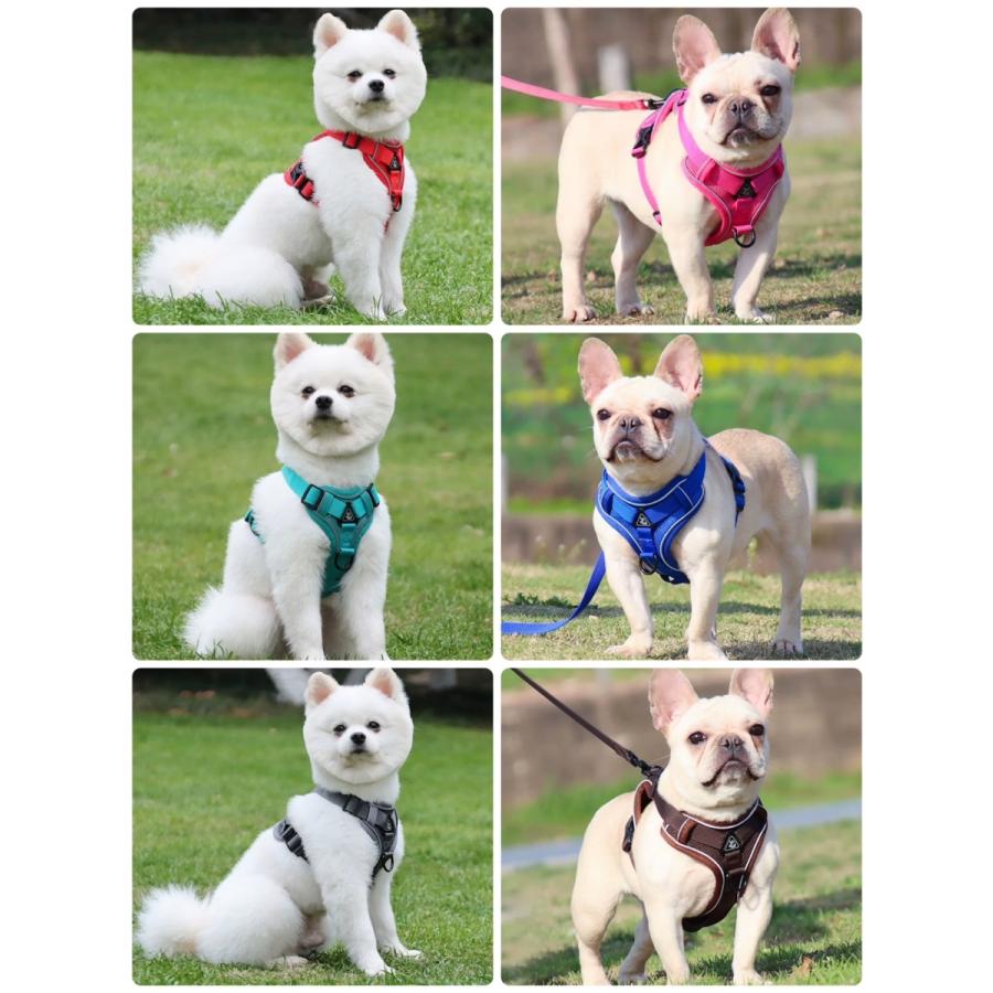 新商品プロモーション，数量限定 犬 犬ハーネス ハーネス リード付き 犬用 猫用 ペット しゃれ 脱げない かわいい 小型 中型 大型 メッシュ 胴輪 散歩 簡単装着 軽量 春 夏 秋 冬 かわいい