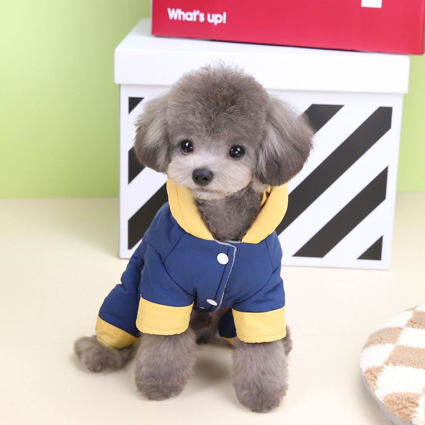 猫 犬 洋服 犬服 ペット服 大中小型犬 ペット用品 犬/猫用 犬の服 ペットウエア 小型犬 中型犬 通気 可愛い ドッグウェア トレーナー 犬 服 ワンピース サロペット ビションフリーゼ 犬猫服