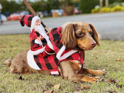 ペット犬クリスマス衣装サンタ乗馬スーツクリスマスペット服鹿乗馬スーツペットクリスマス用品