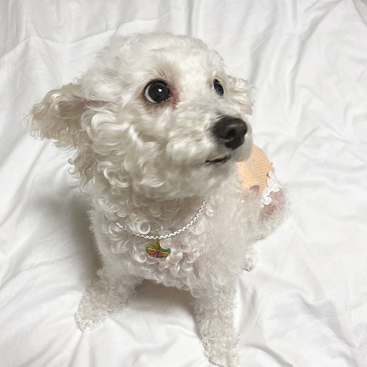 オーダーメイド 首輪 犬 おしゃれ 中型犬 小型犬 本革 かわいい 犬首輪 犬の首輪　猫用首輪