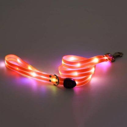 [送&料無料]リード LEDライト式リード LED 光る 首輪 ライト付き カラフル 夜間 USB 充電式 充電式 散歩 犬 発光 幅2.3cm 小型犬 点滅 犬用リード LEDライト式リード