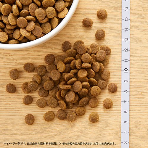 <a href="https://www.qoo10.jp/gmkt.inc/Search/brand.aspx?brandno=56209" target="_blank" class="title_brand" id="btn_brand" title="ワイルドレシピ">ワイルドレシピ</a>ニュートロ　ワイルド　レシピ　超小型犬ー小型犬用　成犬用　サーモン　４ｋｇX２袋＋パウチ　１袋　おまけ付　お一人様１点限り　ＣＲＣ45―02―53―25―00