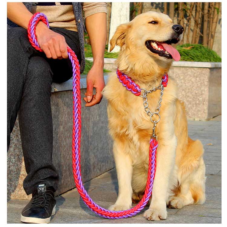 送料無料 リード 首輪 2点セット 犬 首輪セット リードセット 小型犬 中型犬 大型犬 太く 頑丈 丈夫 犬用リード 極太 編み紐 噛み癖 防止 ドッググッズ 散歩 お出かけ しつけ ペット ペット