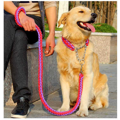 送料無料 リード 首輪 2点セット 犬 首輪セット リードセット 小型犬 中型犬 大型犬 太く 頑丈 丈夫 犬用リード 極太 編み紐 噛み癖 防止 ドッググッズ 散歩 お出かけ しつけ ペット ペット