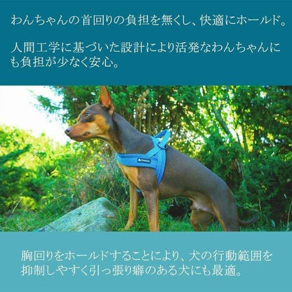 犬 ハーネス 犬用 ハーネス Truelove ブランド 胴輪 ソフトパッド 簡単装着 快適 スポーツハーネス 超大型犬 大型犬 小型犬