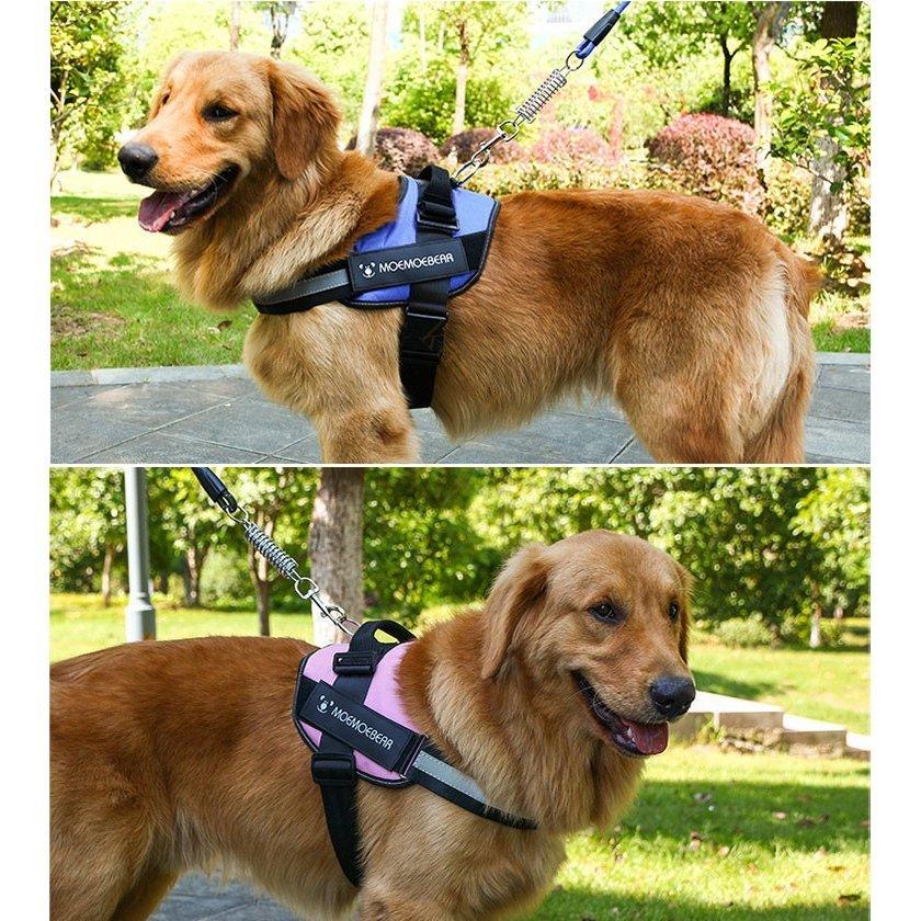 ハーネスリード胴輪首輪犬用中型犬スプリングペット8の字ハーネス通気性リードハーネスセットドッグランお散歩脱着簡単衝撃吸収外出