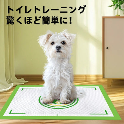 <a href="https://www.qoo10.jp/gmkt.inc/Search/brand.aspx?brandno=109151" target="_blank" class="title_brand" id="btn_brand" title="Honeycare">Honeycare</a>ペットシーツ 中厚型 柄付き レギュラー 80枚/ワイド 40枚/スーパーワイド 20枚 横漏れ防止 トイレシート 犬 猫 ペットシート おしっこシート 瞬間吸水 逆戻り防止 ペット用 しっかり超吸収