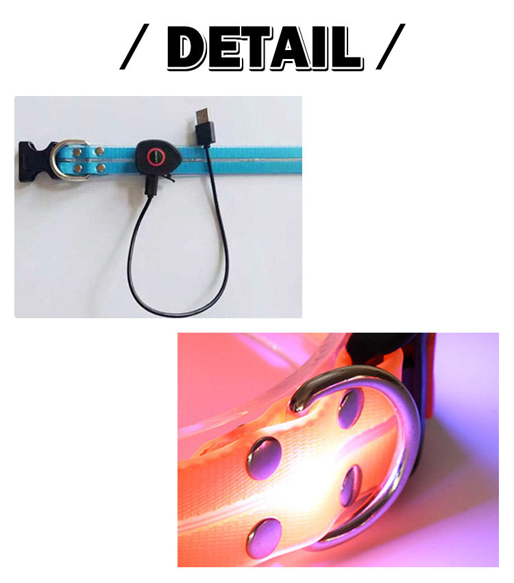 【送料無料】犬 リードセット 光る ペット用 首輪 リード LED光るリード 光る首輪 光るリード　USB充電式 サイズ調整可能 リード長さ120cm 夜間散歩 柔らかい 無臭 夜散歩ライト 軽量 対