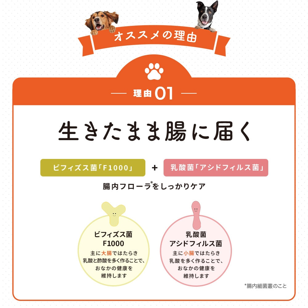 <a href="https://www.qoo10.jp/gmkt.inc/Search/brand.aspx?brandno=62316" target="_blank" class="title_brand" id="btn_brand" title="大正製薬">大正製薬</a>【公式】大正製薬 わんビオフェルミンS 40g 2袋 犬 サプリ サプリメント 腸活 免疫力 健康維持 ビフィズス菌 乳酸菌 犬サプリ イヌ 犬用 ペット 腸活サプリ 無添加 ふりかけ 粉 腸内環境