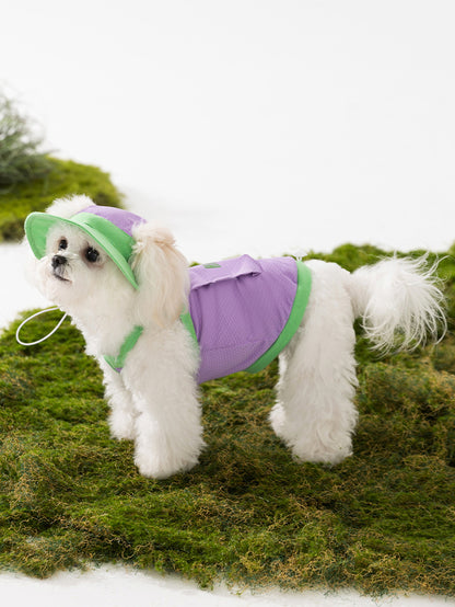 【新入荷】犬 洋服 犬服 春夏 リーシュベスト 小型犬 ペット服