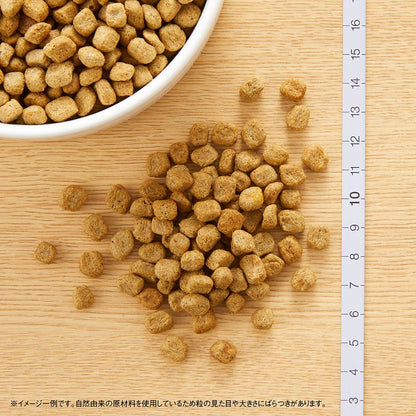 <a href="https://www.qoo10.jp/gmkt.inc/Search/brand.aspx?brandno=56178" target="_blank" class="title_brand" id="btn_brand" title="ナチュラルチョイス">ナチュラルチョイス</a>ニュートロ　超小型犬ー小型犬　成犬用セット　減量用　チキン＆玄米　６ｋｇ＋ウェット　２種計２個　ＣＲＣ45―02―53―20―00