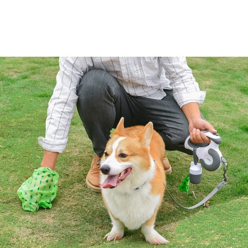 【散歩は凧揚げのように】 犬 伸縮リード 4.5m 耐噛ロープ 軽量 おしゃれ 上質 小/中型犬 人気 おすすめ かわいい 長い フック 犬用 メガ割