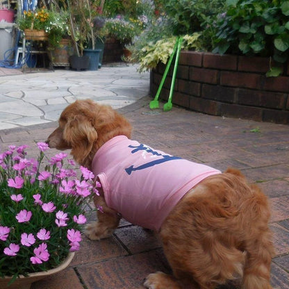 超目玉新品 ペットファッション 犬服 ドッグウェア ペットウェア 薄手 ノースリーブ プリントＴシャツ 碇 マリン 犬用 犬 いぬ ドッグ 可愛い かわいい