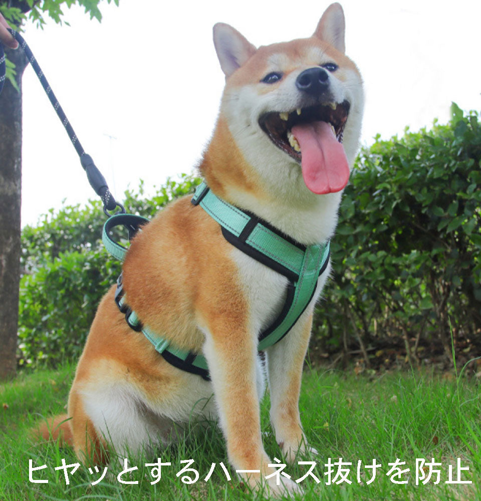 負担の少ない アウトドア 大型犬 ワンタッチタイプS 犬 おしゃれ カラフル 着脱しやすい 小型犬 XL M 胴輪 L ネコポス かわいい 中型犬 ハーネス