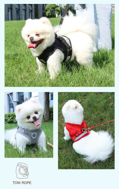 本日のおすすめ ペット メッシュ素材で軽く涼しいハーネス ＆リードセット 夜間反射ベルト 小型犬 中型犬 シンプル 全6色ペット メッシュ素材で軽く涼しいハーネスペット メッシュ素材で軽く涼しいハーネ