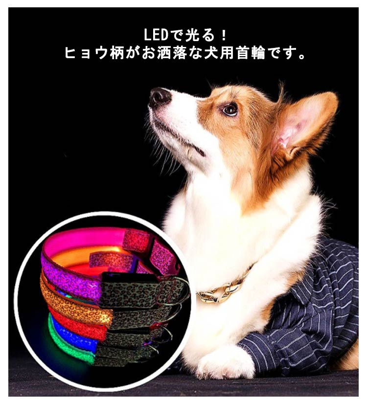 価格が下がった 今日だけ 光る首輪 首輪 LEDライト 小型犬 キラキラ 中型犬 USB充電式 通気性 3モード 軽量 長さ調節可能 散歩 安全対策 事故防止 発光 夜間 暗闇 ペットグッズ 大型犬
