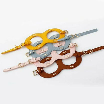 今年の新品 上品カラーで高見え 防水 ハーネス＆リード ハーネスリード ハーネスリードセット 胴輪 ハーネス リード 犬 イヌ ドッグ dog 小型犬 犬用 ペット用 犬具 胴輪 散歩 出かけ 簡単上