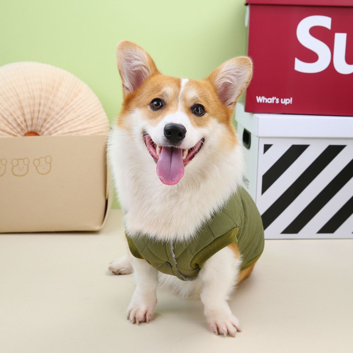 猫 犬 洋服 犬服 ペット服 大中小型犬 ペット用品 犬/猫用 犬の服 ペットウエア 小型犬 中型犬 通気 可愛い ドッグウェア トレーナー 犬 服 ワンピース サロペット ビションフリーゼ 犬猫服