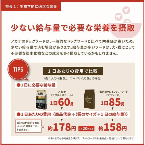ACANA アカナ アダルトスモールブリード 340g ドッグフード 犬 餌 小型犬 小粒 無添加 肉食 カナダ産
