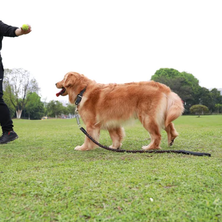 犬 大型犬 ハーネス オシャレ 首輪 リード ペットハーネス 中型犬 大型犬 ハーネスリードセット 2点セット ウェアハーネス 丈夫 犬用 編み風 脱出防止 調整可能 おでかけ シンプル 高品質