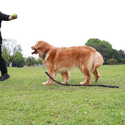犬 大型犬 ハーネス オシャレ 首輪 リード ペットハーネス 中型犬 大型犬 ハーネスリードセット 2点セット ウェアハーネス 丈夫 犬用 編み風 脱出防止 調整可能 おでかけ シンプル 高品質