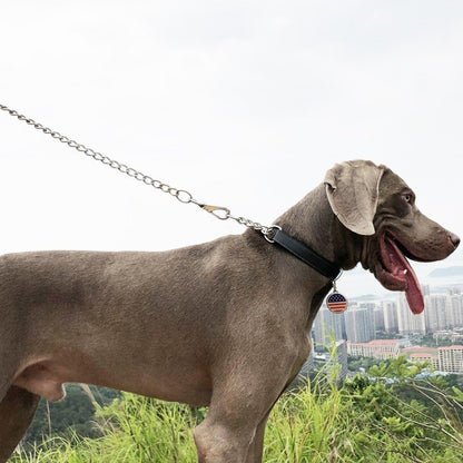 犬 ハーフチョーク 本革 首輪 犬首輪 革 おしゃれ かわいい 大型犬 犬の首輪 ゴールデン いぬ