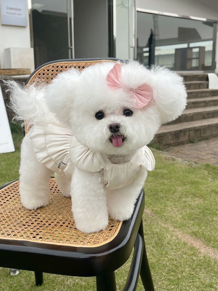 春夏新作 薄手のチョッキ ペット ペットの服 ペット用品 チュールスカートテディベア 愛犬 犬服 犬の服