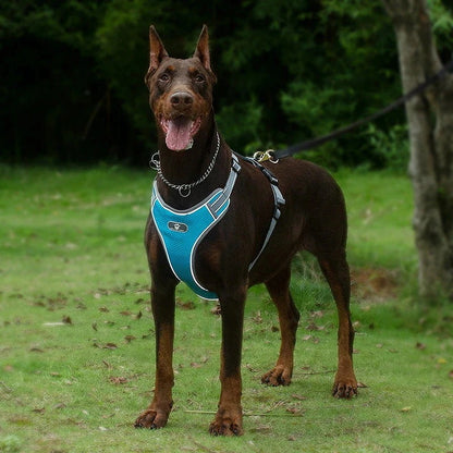 沸騰新柄追加 犬 ハーネス 犬ハーネス 胴輪 犬用ハーネス 犬のハーネス おしゃれ かわいい リード 子犬 小型犬 中型犬 脱げない リードセット 簡単装着 快適 アジャスquma