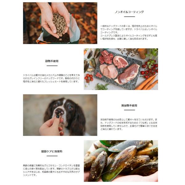 TRIBAL トライバル フレッシュチキンドッグフード 400g 犬 餌 低アレルギー 低アレルゲン 低温調理 コールドプレス