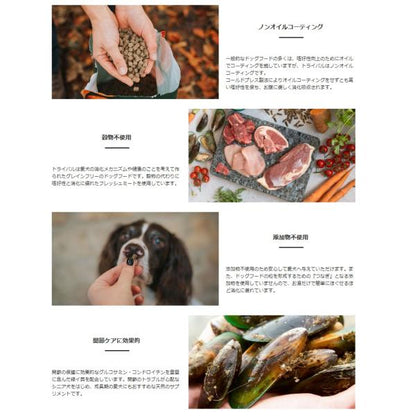 TRIBAL トライバル フレッシュチキンドッグフード 400g 犬 餌 低アレルギー 低アレルゲン 低温調理 コールドプレス