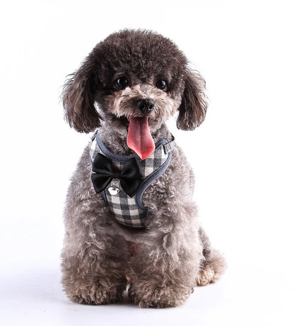 【3日以内に出荷】ハーネス 犬 リード付 ペット ソフトハーネス 胴輪 メッシュ素材 ベスト 小型犬 中型犬 大 ペット