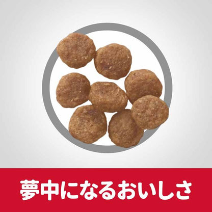 ドッグフード 犬 ヒルズ 小型犬用 アダルト ラム&ライス 3kg サイエンスダイエット プレミアムフード ドッグ 小型犬 成犬 ラムライス 16歳 健康維持 ドライフード ドライ フード ペット メ
