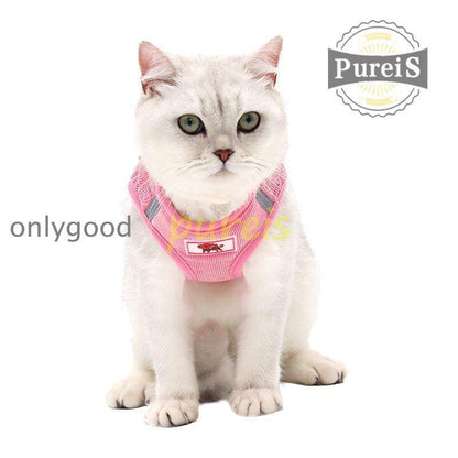 2-5日出荷 新品推奨 犬 ハーネス リード付 ペット服 ウェアハーネス 胴輪 キャット ドッグ メッシュ 一体型 胸あて式 軽量 調節可能 犬用 小型犬 ペット用品 猫用首輪 猫/犬 可愛い ポイン