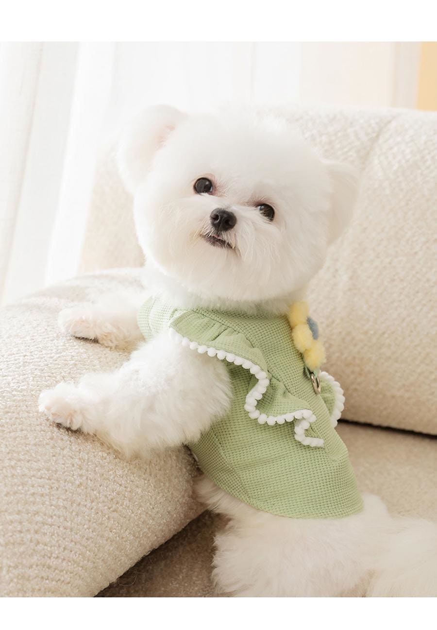 春と秋の犬服テディボーミペットのコキシナレビーベア秋冬服 牽引可能ペット衣類