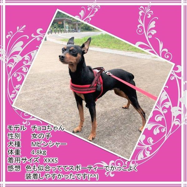 犬 ハーネス 犬用 ハーネス Truelove ブランド 胴輪 ソフトパッド 簡単装着 快適 スポーツハーネス 超大型犬 大型犬 小型犬