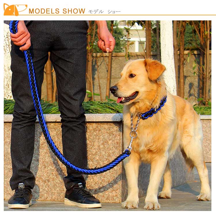 メガ割2025福袋-リードと首輪セット 犬 ドッグ リード 首輪 2点セット ドック用品 犬用 首輪 リード リードセッ837910