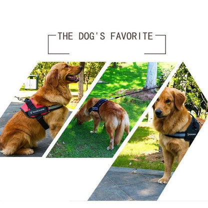 ハーネスリード胴輪首輪犬用中型犬スプリングペット8の字ハーネス通気性リードハーネスセットドッグランお散歩脱着簡単衝撃吸収外出