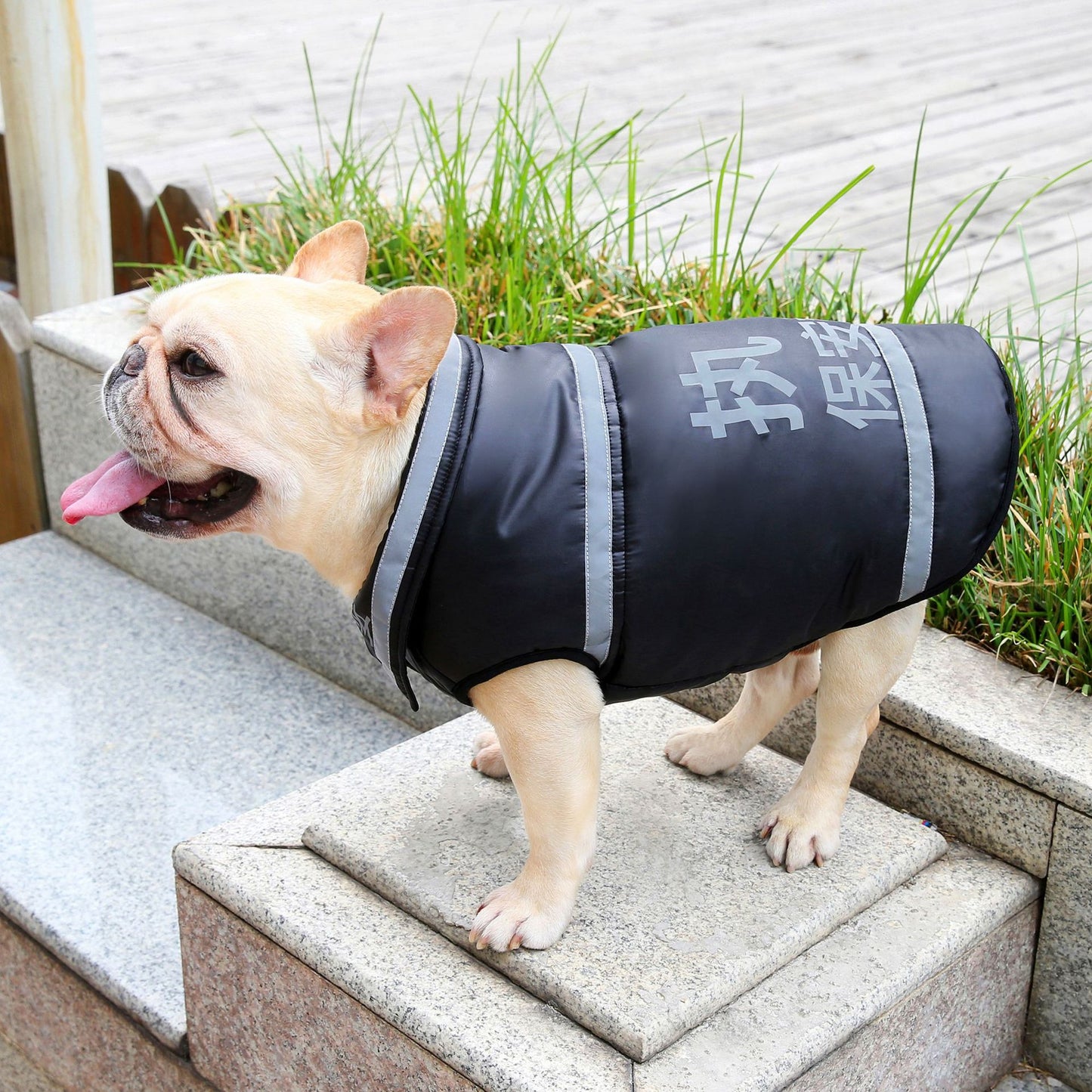 猫 犬 洋服 犬服 ペット服 大中小型犬 ペット用品 犬/猫用 犬の服 ペットウエア 小型犬 中型犬 通気 可愛い ドッグウェア トレーナー 犬 服 ワンピース サロペット ビションフリーゼ 犬猫服