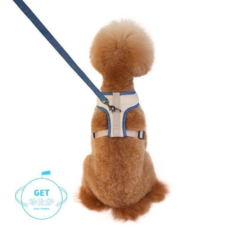 ハーネスリード 2点セット ベストタイプ 犬 猫 ドッグ キャット 小型犬 中型犬 ペット用品 ペットグッズ ハーネス リード 胴輪 無地 メッシュ